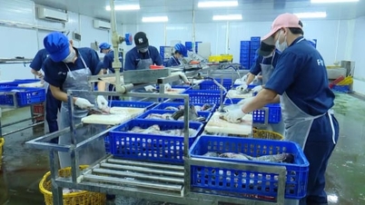 អភិវឌ្ឍវារីវប្បកម្មនៅជាយក្រុងហាណូយ