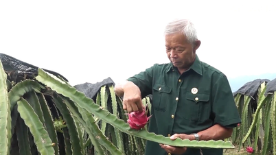 مثال ساطع في سانغ دوم