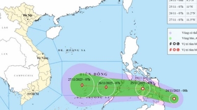 New storm likely to cause heavy rain from Da Nang - Lam Dong