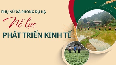 נשות קהילת פונג דו הא שואפות לפתח את הכלכלה