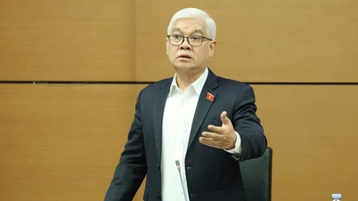 Voorstel om de overdrachtsvergoeding voor grondgebruiksrechten op woongrond voor mensen te verlagen