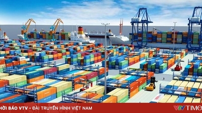 輸出入総額は8000億ドルを超える