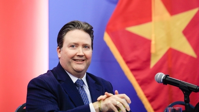 राजदूत नैपर: वियतनाम-अमेरिका संबंध सभी स्तंभों पर तेजी से बढ़ने के लिए तैयार हैं