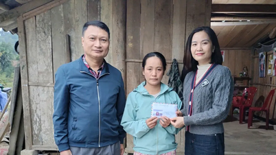 SGGP সংবাদপত্রের পাঠকরা হা তিনের একজন ব্যক্তিকে সাহায্য করার জন্য অতিরিক্ত 12 মিলিয়ন VND দান করেছেন, যার দুর্ঘটনা ঘটেছিল এবং যার পরিবার চরম সংকটে ছিল।