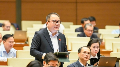 Đề xuất bảo hộ sở hữu trí tuệ đối với các sản phẩm do AI Việt tạo ra