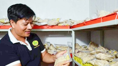 ผู้รักษาจิตวิญญาณแห่งการทำอาหารของ Van Dinh