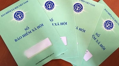 پیشنهاد بازرسی و بررسی بیش از ۲۰۰۰ کسب و کاری که عمداً در پرداخت بیمه تعلل می‌کنند