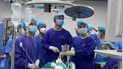 উচ্চশিক্ষা সংক্রান্ত খসড়া আইন: স্বাস্থ্য মন্ত্রণালয় বিশেষ প্রশিক্ষণ পরিচালনা করে - রোগীর নিরাপত্তা নিশ্চিত করার পূর্বশর্ত