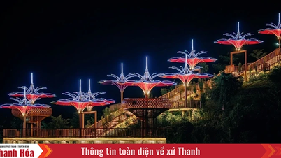 LAMORI by Night: บทสนทนาระหว่างป่าและจักรวาล