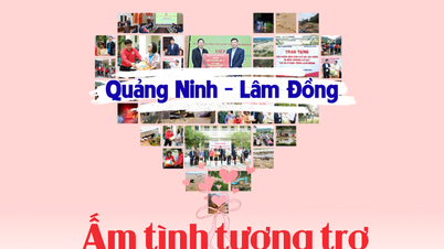 كوانغ نينه - لام دونغ: الدعم المتبادل الدافئ، والشعور القوي بالوطنية