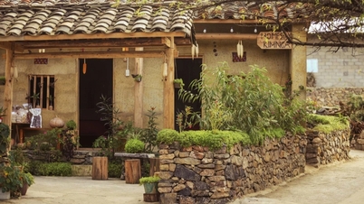 "لو لو تشاي" مليء بالزبائن بسبب أزهار الحنطة السوداء، وأسعار الغرف أعلى بمقدار 2-3 مرات؟