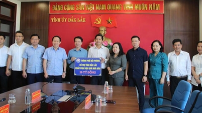 Výzva od Výboru Vietnamské vlasti z města Hai Phong na podporu obětí povodní