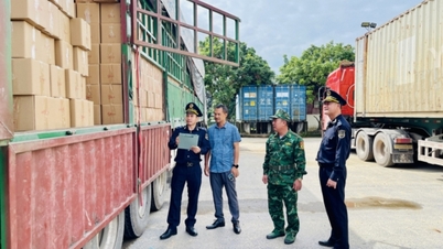 Prevent smuggling and commercial fraud