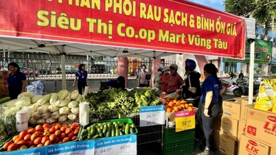 شهر هوشی مین: افزایش واردات، افتتاح ۵ مرکز فروش سبزیجات و میوه برای تثبیت قیمت‌ها