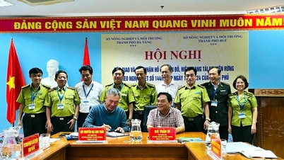 Hue předává Da Nangu více než 740 hektarů lesa