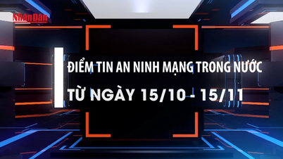[Video] Nachrichten zur Cybersicherheit im Inland vom 15. Oktober bis 15. November