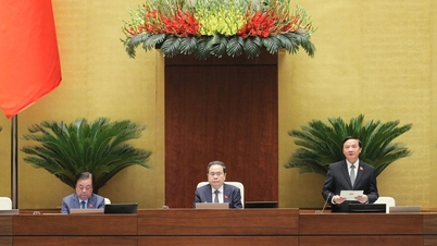 מחקר על זכויות נוספות הקשורות לסוכנויות עיתונות