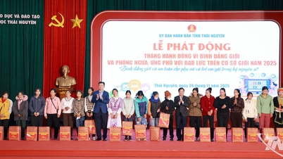 Thai Nguyen lanza el Mes de Acción por la Igualdad de Género en 2025