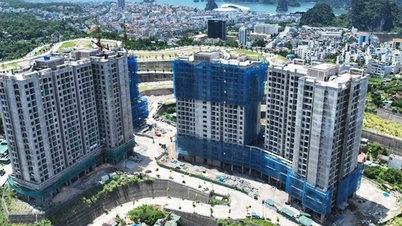 Как определить уровень строительства социального жилья