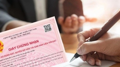 Имеет ли право на получение Сертификата земля, купленная у деревни?