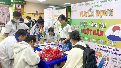 Centrar la atención en la formación profesional y la creación de empleo