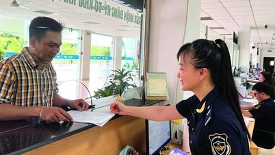 수입 및 수출 활동을 원활하게 하기 위한 세관 행정 절차에 중점을 둡니다.