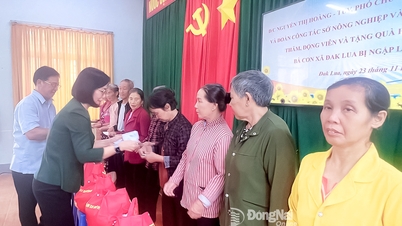 A Tartományi Népi Bizottság vezetői ellátogattak és ajándékokat adtak át az árvíz sújtotta Dak Lua község lakóinak.