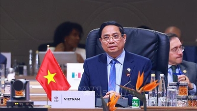 Премьер-министр Фам Минь Чинь прибыл в Ханой, успешно завершив свой рабочий визит в Кувейт, Алжир и Южную Африку.