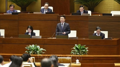 តម្លាភាពក្នុងការកំណត់តម្លៃនៃកម្មសិទ្ធិបញ្ញា