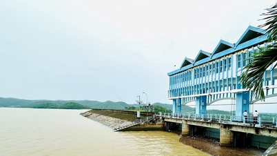 เสนองบประมาณ 99.5 พันล้านดอง ซ่อมอ่างเก็บน้ำ 7 แห่งในลำดงอย่างเร่งด่วน