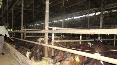 ทั้งจังหวัดสร้างสถานสงเคราะห์สัตว์ที่ปลอดภัยจากโรคสัตว์อย่างน้อย 150 แห่ง