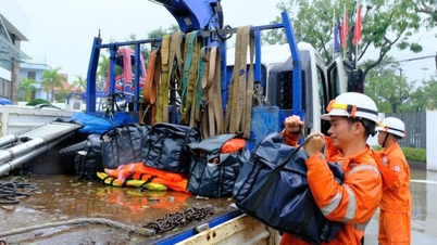 فوراً ۲۵۰ مهندس و ۴۰ هزار متر برای داک لک بسیج کنید