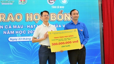 Χορήγηση 150 υποτροφιών "Ca Mau Fertilizer - Golden Seeds" για την υποστήριξη μαθητών που ξεπερνούν τις δυσκολίες να σπουδάσουν καλά