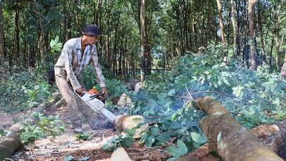 Tạo đồng thuận trong nhân dân, thúc đẩy giải phóng mặt bằng Dự án cao tốc Gia Nghĩa - Chơn Thành