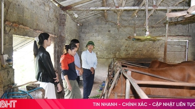 Хонг Лок пропагандирует дух взаимной любви и привязанности, помогая бедным «обрести благополучие и жить счастливой жизнью».