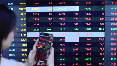 Ущерб, вызванный наводнениями и стихийными бедствиями: группа акций испытывает «головную боль», в какую группу переместится денежный поток?