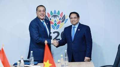 Le Premier ministre propose que le Vietnam exporte son secteur agricole vers l'Égypte.