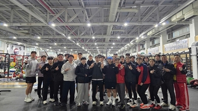 Vietnam Taekwondo mikt met methodische strategie op SEA Games 33