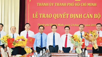 Επικύρωση της απόφασης για την έγκριση των αποτελεσμάτων των εκλογών του Αντιπροέδρου του Λαϊκού Συμβουλίου και του Αντιπροέδρου της Λαϊκής Επιτροπής της πόλης Χο Τσι Μινχ