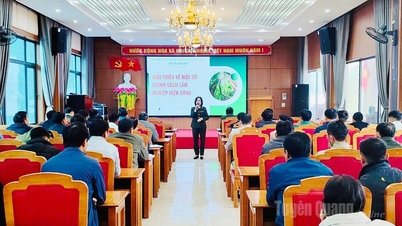 Persidangan propaganda untuk melaksanakan Program Sasaran Kebangsaan bagi etnik minoriti dan kawasan pergunungan