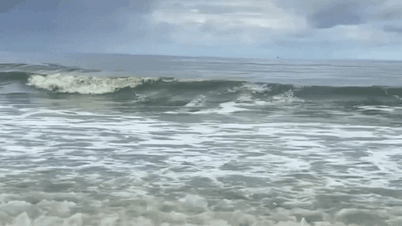 הסיבה לכך שמי הים של וונג טאו "ירוקים כמו מאצ'ה" ברורה