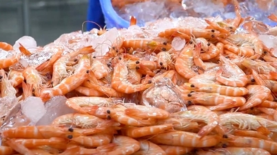 2025'in ilk 10 ayında Vietnam ile CPTPP bloğu arasındaki ticaret %20,6 arttı