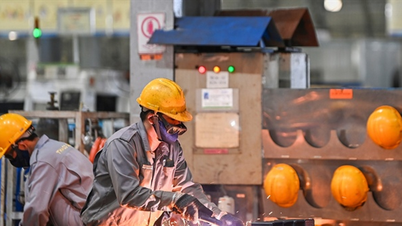 Éxito del modelo operativo "Equipo Coordinador de Promoción del Desarrollo de la Industria de Apoyo"