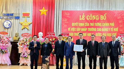 ہیو میڈیکل کالج کو ہیو یونیورسٹی آف میڈیسن اینڈ فارمیسی میں ضم کرنا