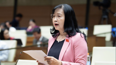 Debata o uznávání produktů umělé inteligence (AI), delegáti navrhují opatrnost a vyhýbání se kopírování