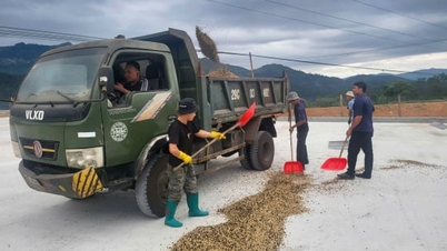 Viet Bac Coffee ökar inköpskapaciteten och skyddar proaktivt miljön.