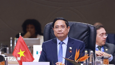 رحلة عمل رئيس الوزراء فام مينه تشينه تضع الأساس الاستراتيجي وتفتح مساحة جديدة للتنمية في الشرق الأوسط وأفريقيا