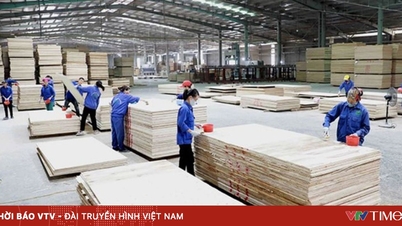 Vietnam's wood industry aims for 18 billion USD export milestone