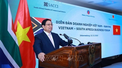 Orta Doğu - Afrika'da stratejik temeller atmak, yeni kalkınma alanları açmak