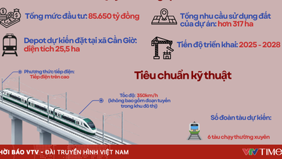 Scale of Ben Thanh - Can Gio Metro project